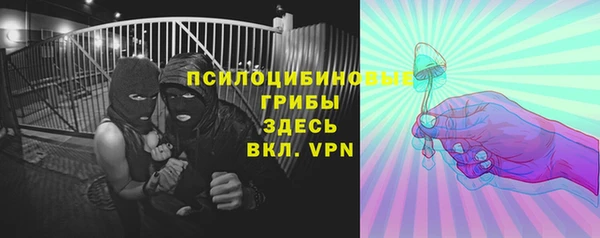 дурь Краснотурьинск