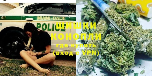 трава Кодинск